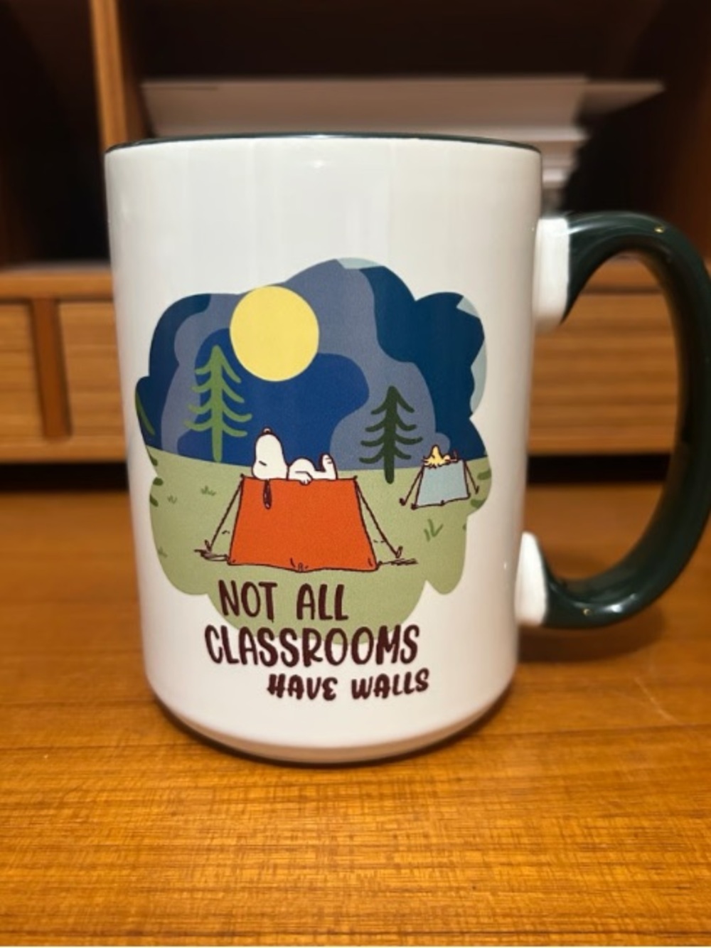 Not All Classrooms Have Walls Ceramic Home Art Print Mug - White & Dark Green